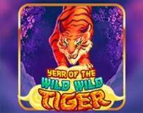 Year Of The Wild Wild Tiger Year Of The Wild Wild Tiger